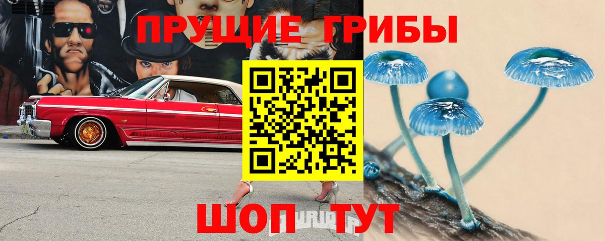 Электросталь  Псилоцибиновые грибы мицелий  Вход с VPN 